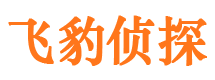 曾都市调查公司